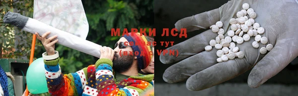 индика Баксан