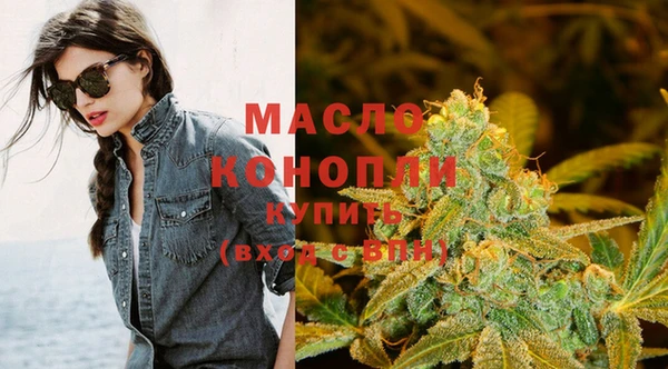 индика Баксан