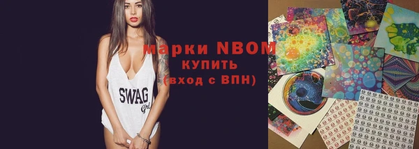 индика Арсеньев