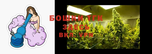 индика Баксан