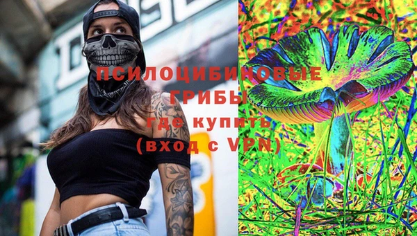 индика Баксан