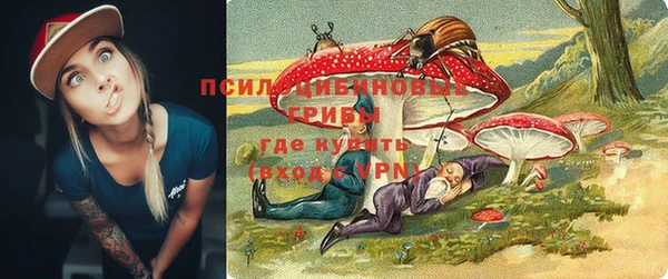 индика Арсеньев