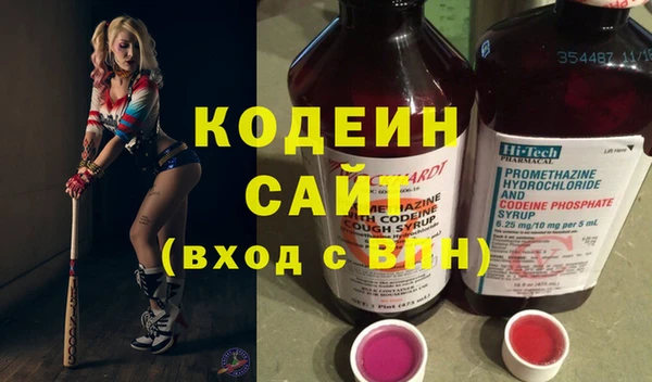 индика Баксан